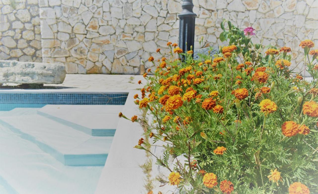 Estate Dafnopanagia Villa Magda Asprogerakata Luaran gambar