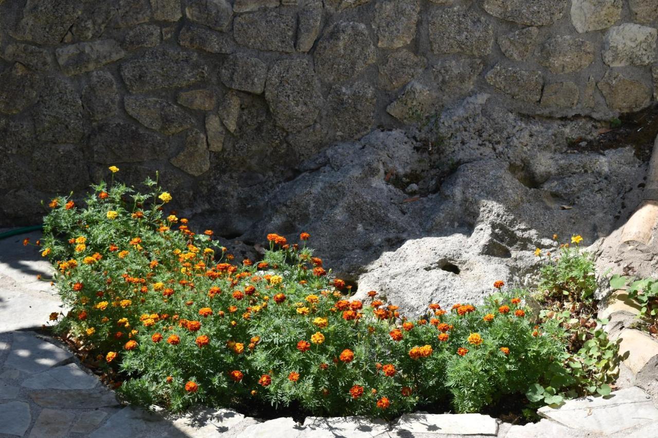 Estate Dafnopanagia Villa Magda Asprogerakata Luaran gambar